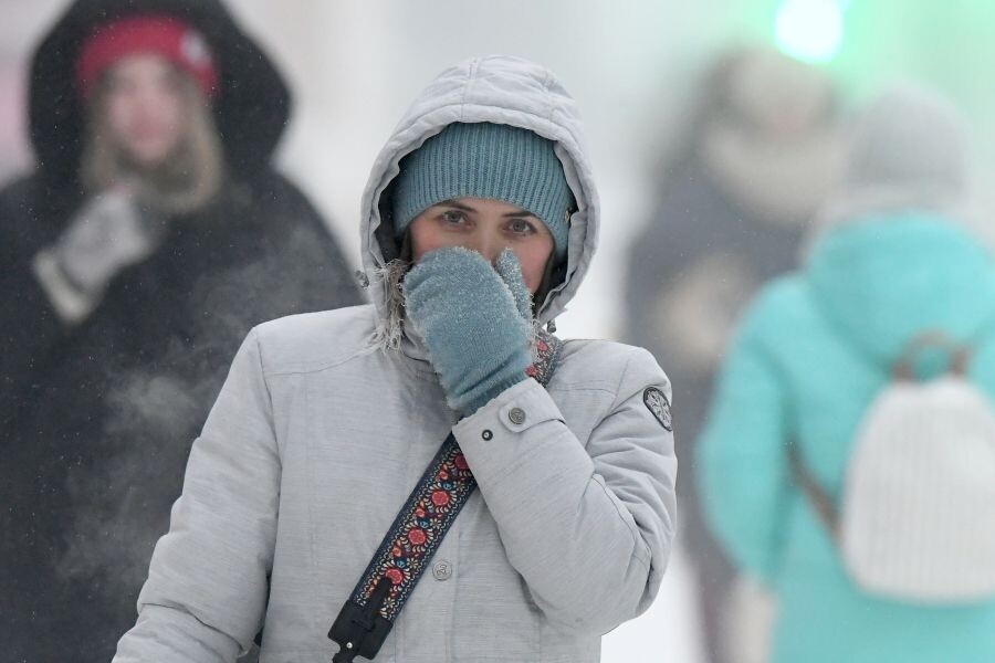     / Источник: © Илья Наймушин/РИА Новости