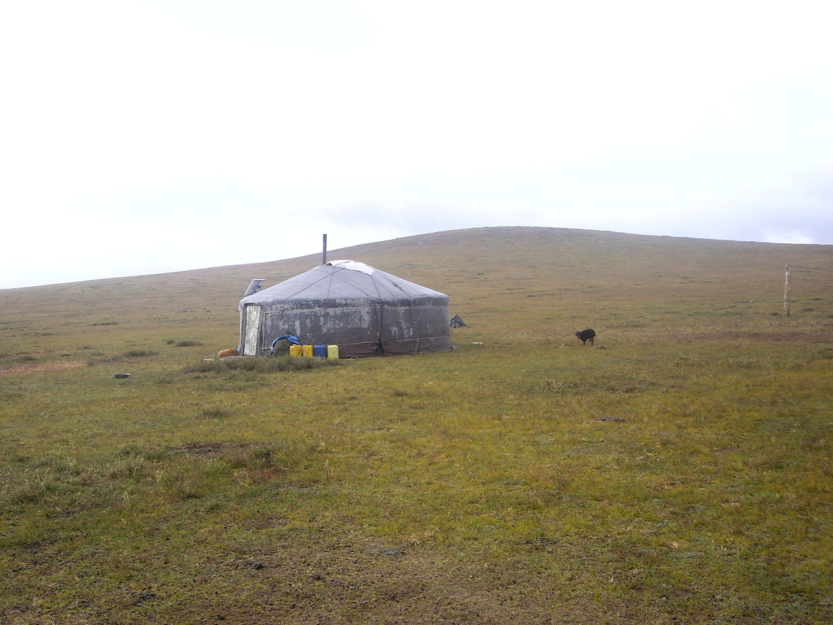 Юрта в степи (фото автора)