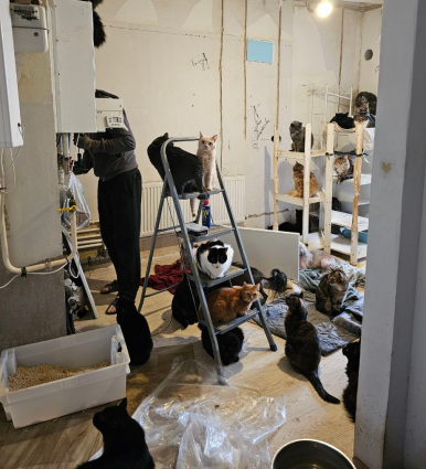 Пытаемся починить котел, очень нужны обогреватели