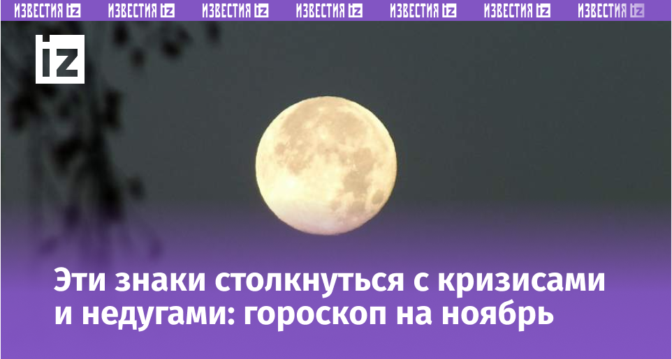 Фото: Global Look Press/Victor Lisitsyn