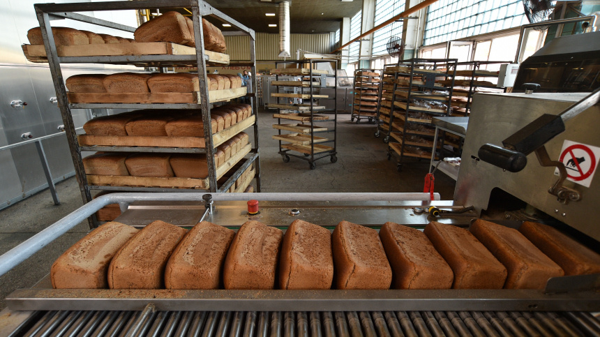    Фото: ИЗВЕСТИЯ/Александр Полегенько