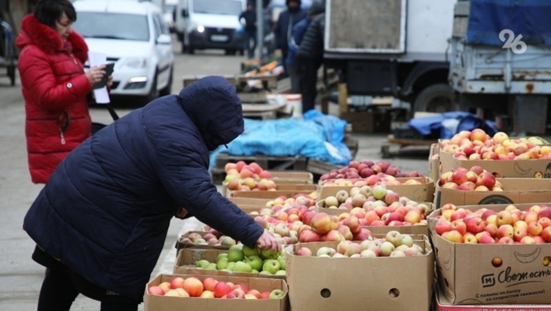     Фото: ИА «Победа26»