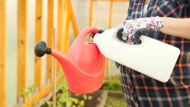 Обработка почвы