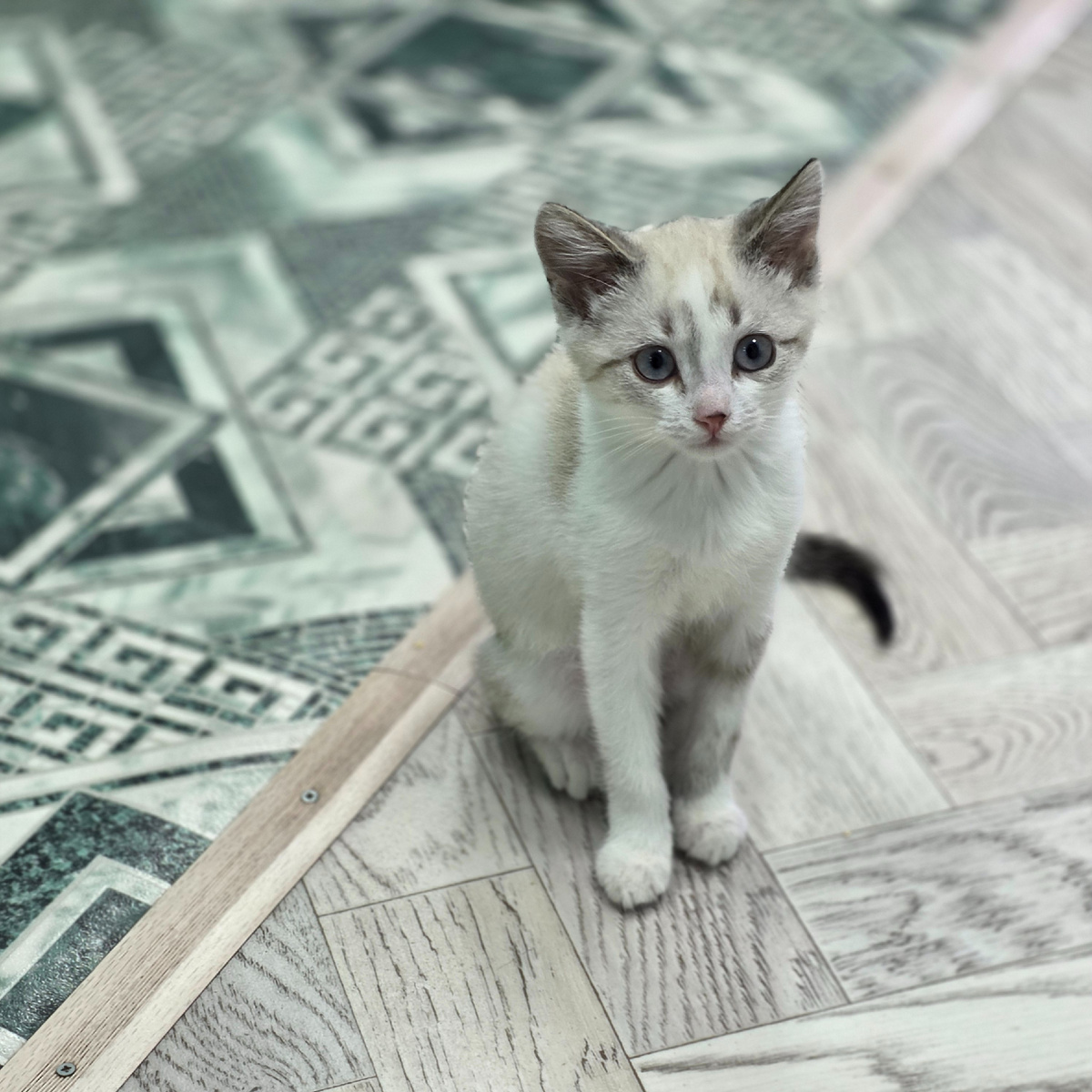 маленький выживший смотрит прямо в душу