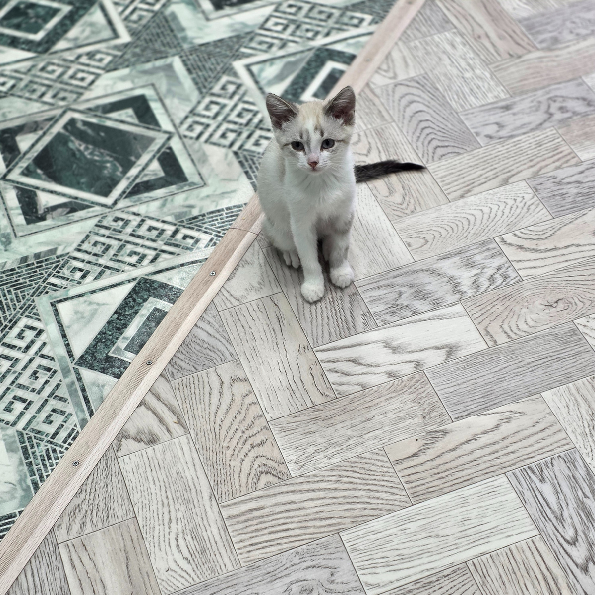 сидит у порога между двух миров