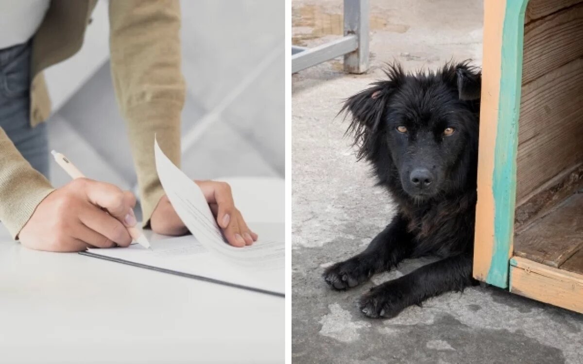    «Кому не безразлична тема».