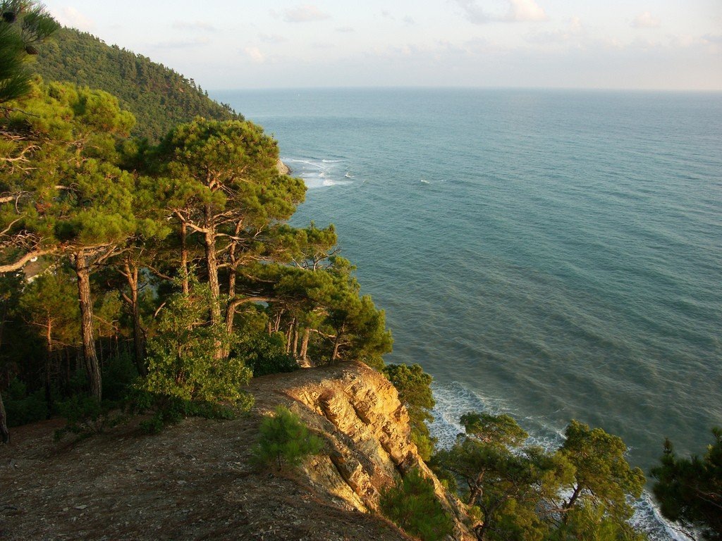 фото wikiway.com