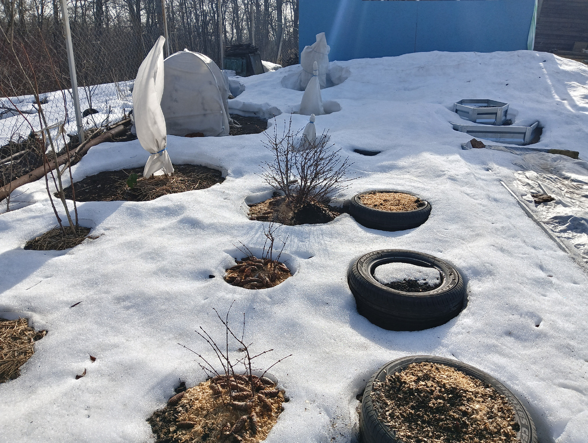 1 апреля 2024 года. Снега ещё много