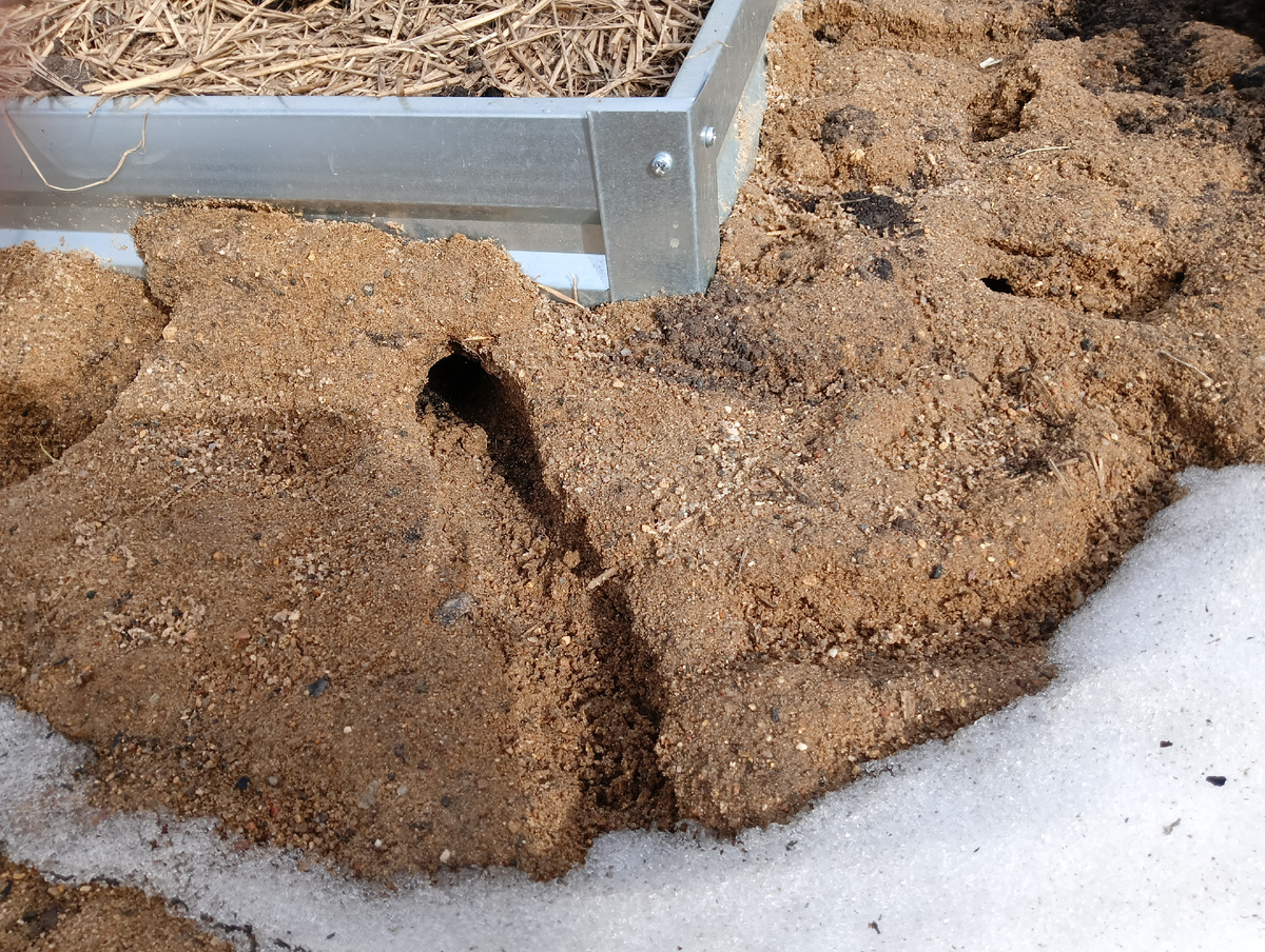 Мышиные(?) ходы