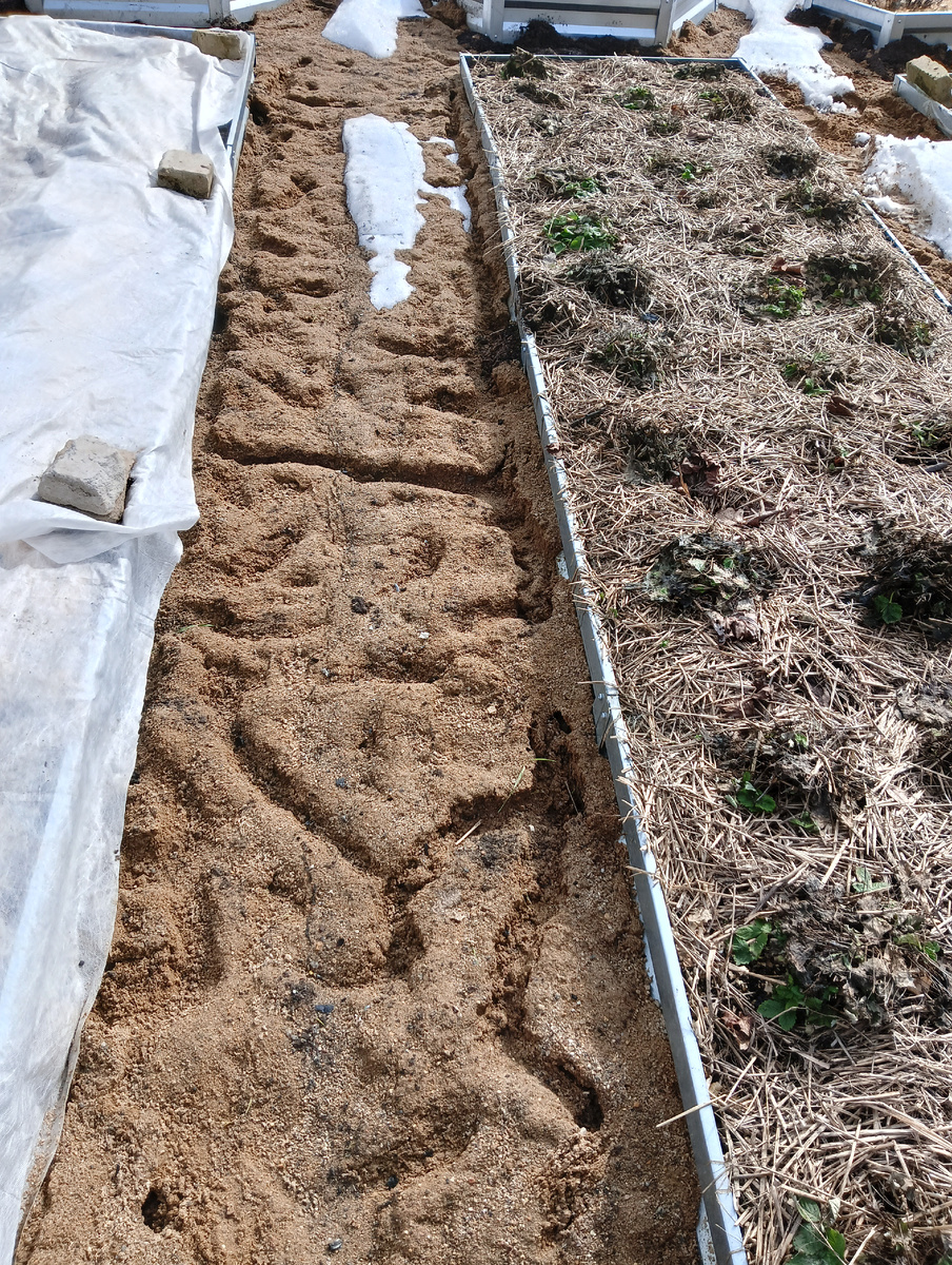 Хорошо они тут жили зимой...