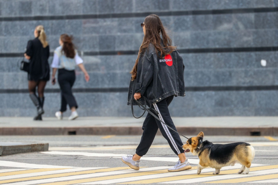    Сергей Булкин/NEWS.ru