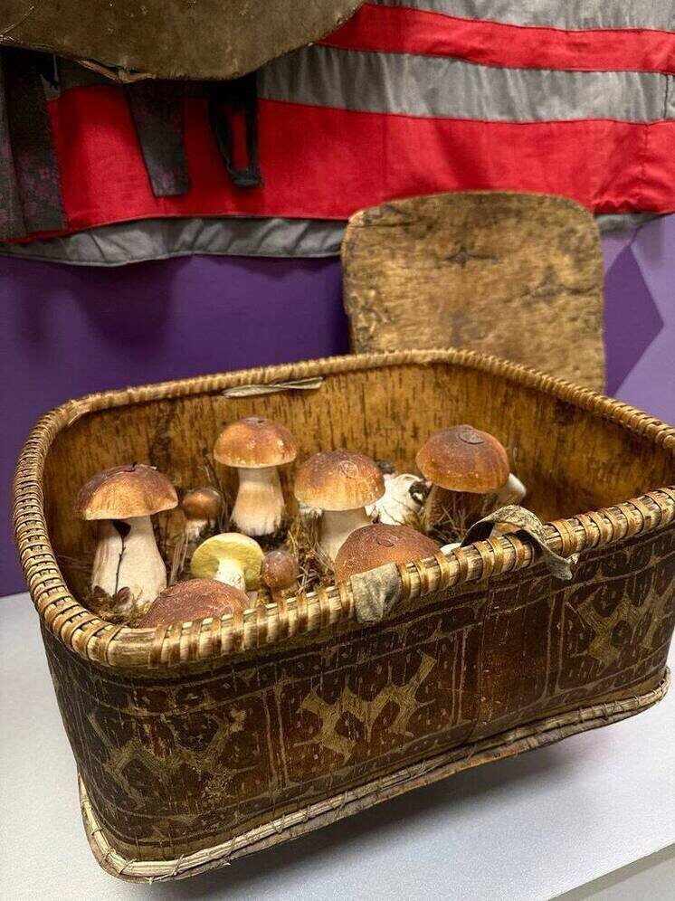     Официальный канал администрации Нижневартовска