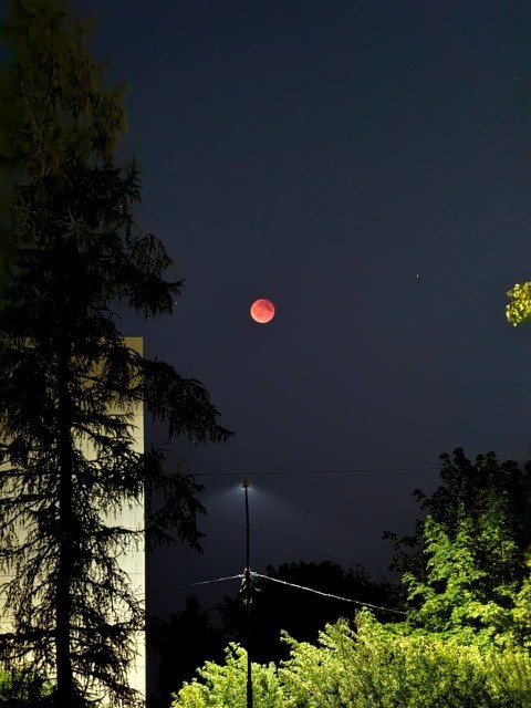 Как -то не так давно,кровавая луна была,успела сфотографировать