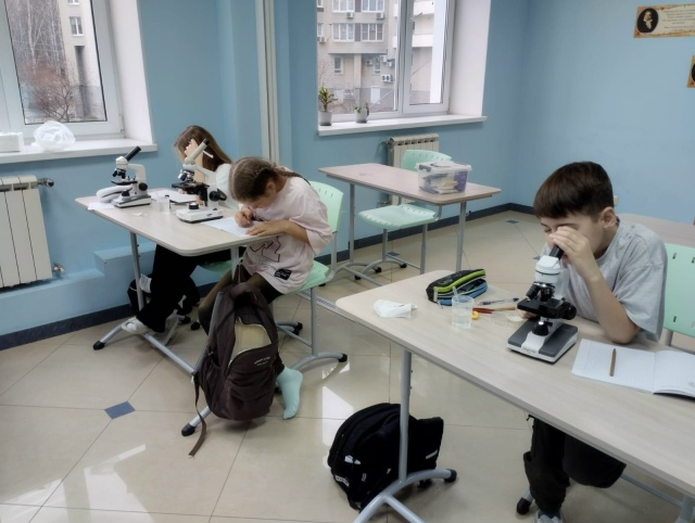 Ученики школы семейного образования «Эврика» (Екатеринбург) на уроке биологии