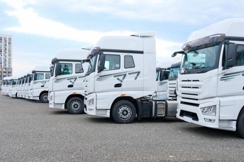     © Терехова Марина / Фотобанк Лори