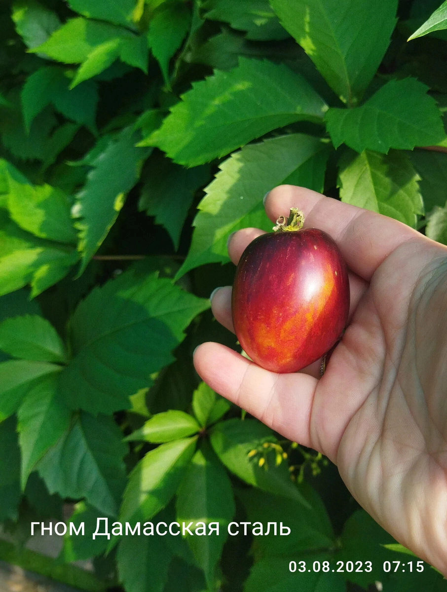 мой размер 50-70 грамм