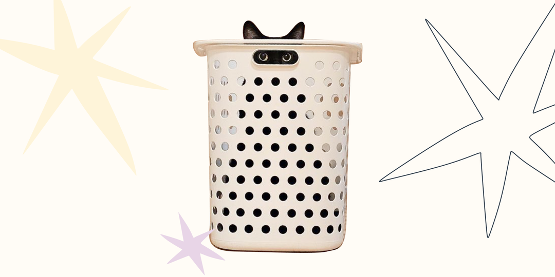 Говорят хвостом и ушами: как понять питомца и выучить его язык