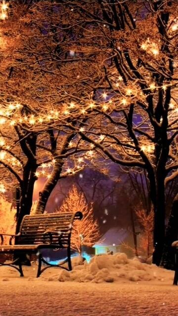 яндекс.картинки