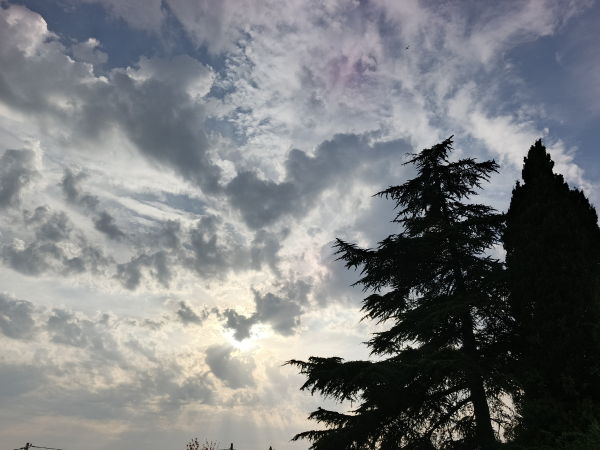 Адлер, ноябрь 2025 года