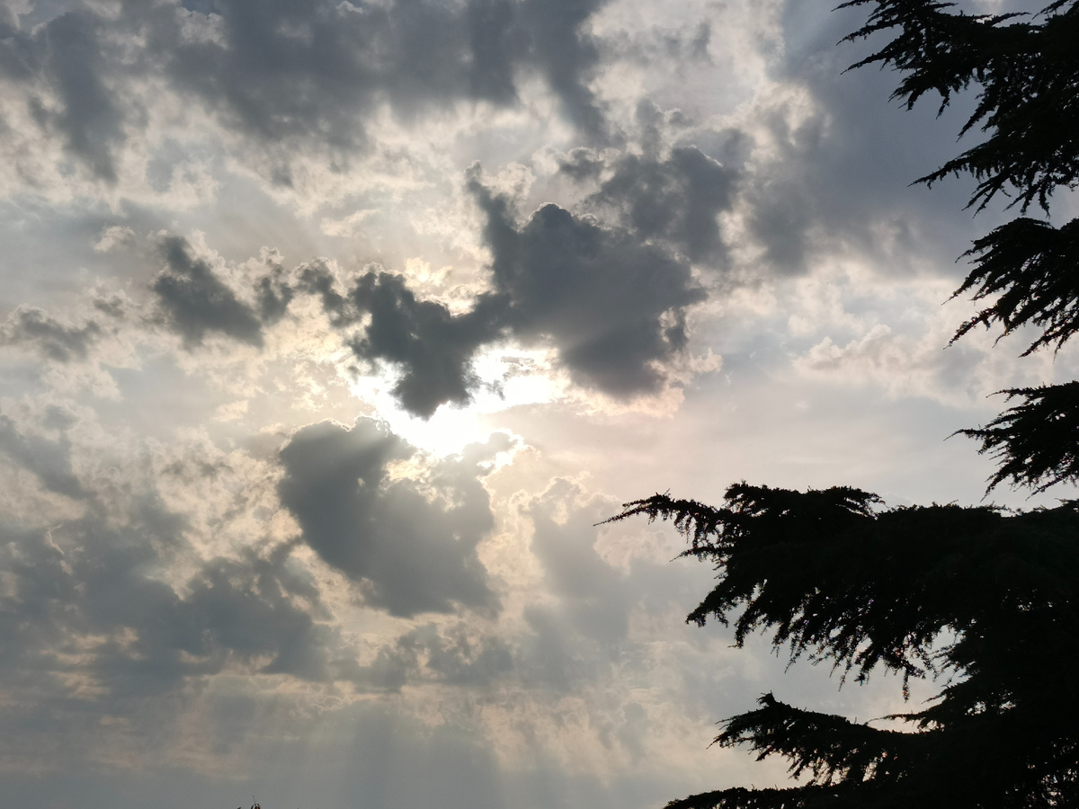 Адлер, ноябрь 2025 года