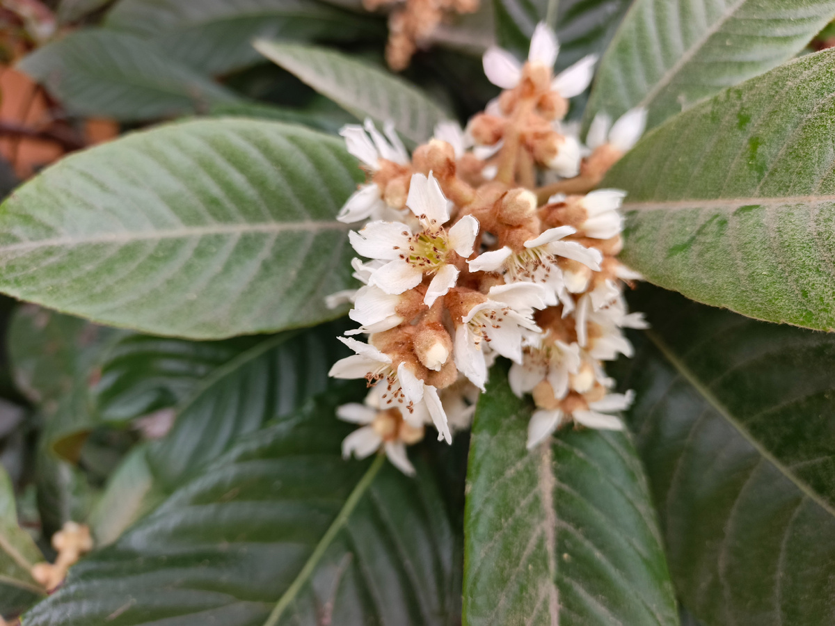 Адлер, ноябрь 2025 года