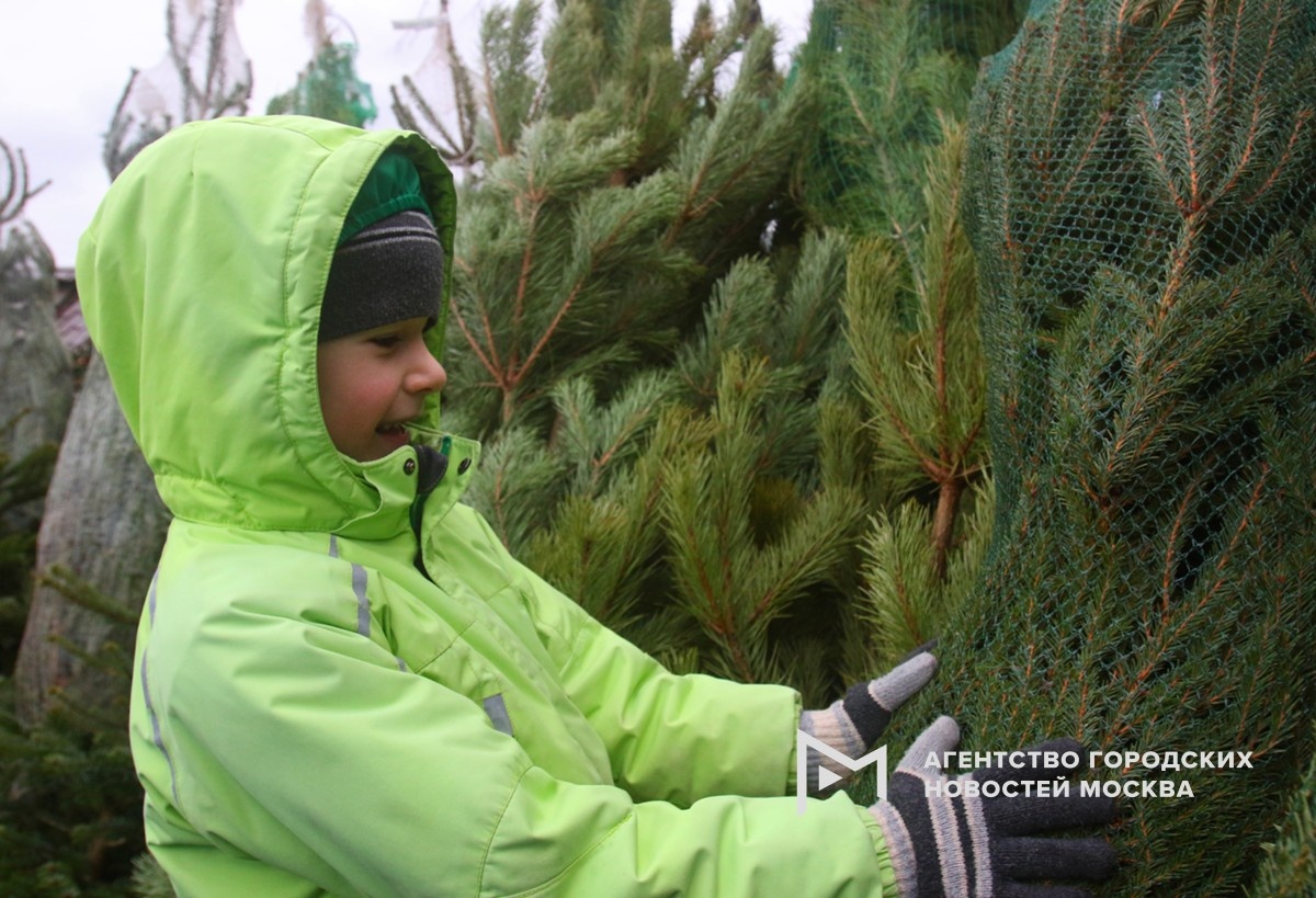 Фотограф: Андрей Никеричев