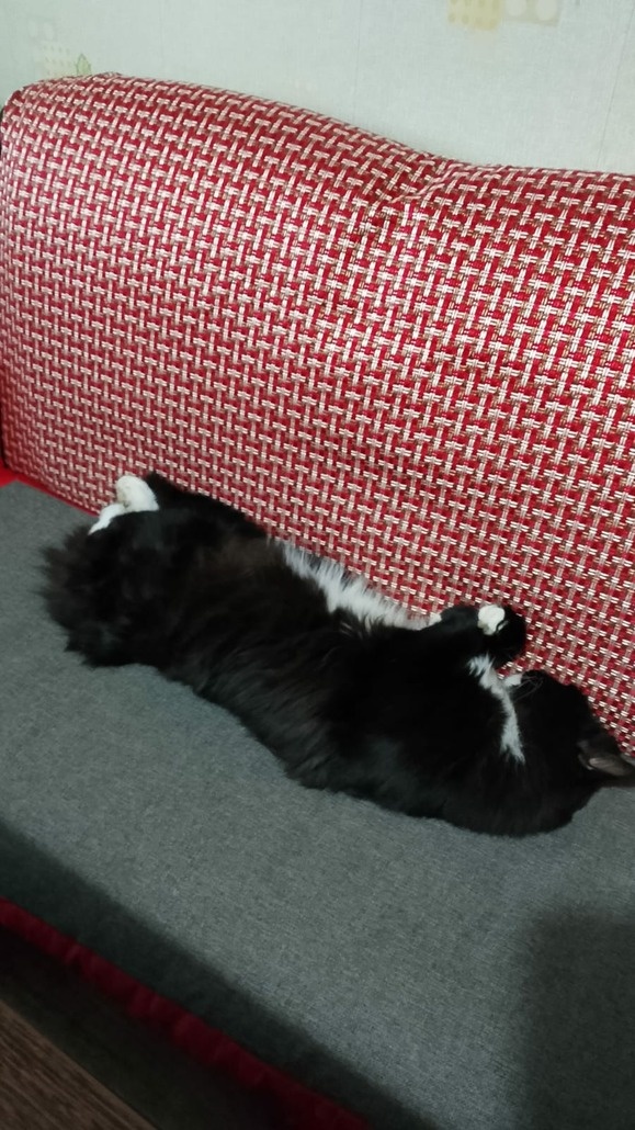 И новая обивка нипочём