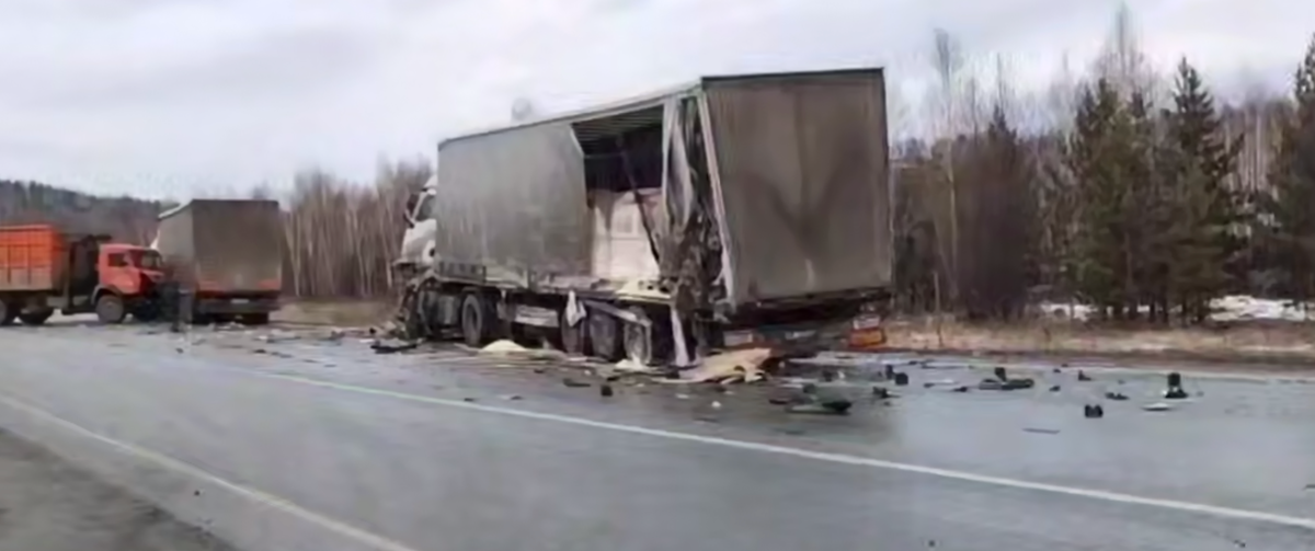     Госавтоинспекция Челябинской области