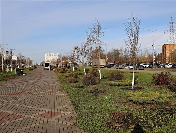    ФОТО: пресс-служба мэрии Самары