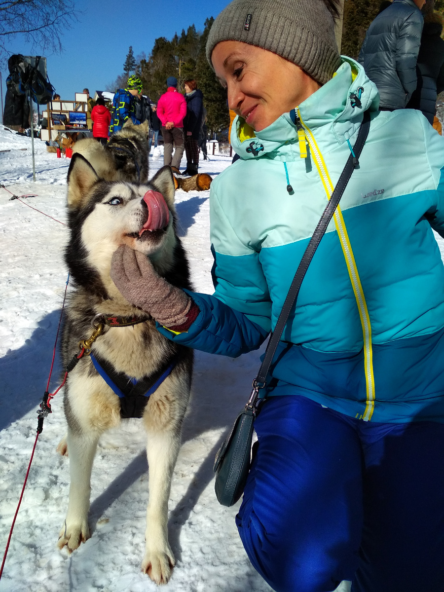 Хаскитерапия - подходит практически всем, эмоций оложительных будет море!