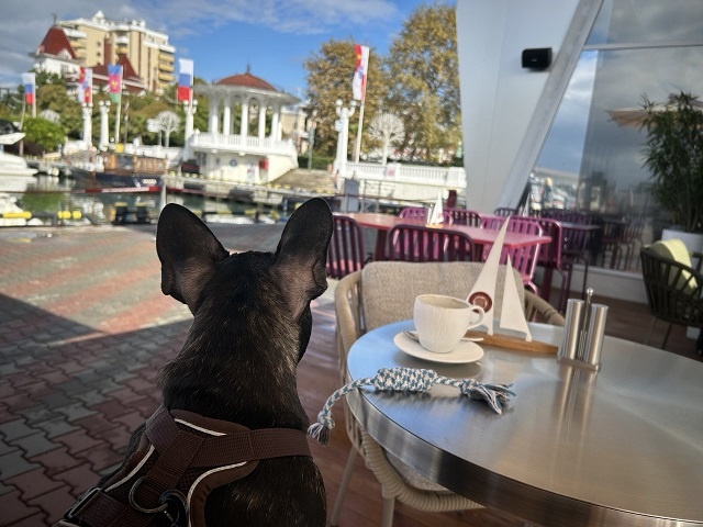    Фото Н.Николаевой Василий Шеин