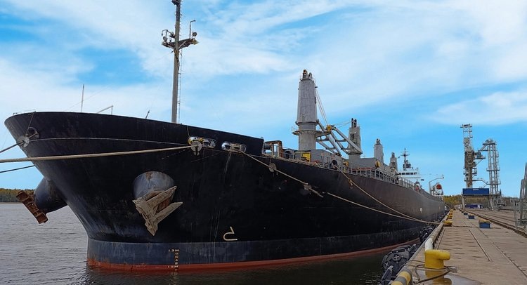    Фото: ФГБУ ЦОК АПК