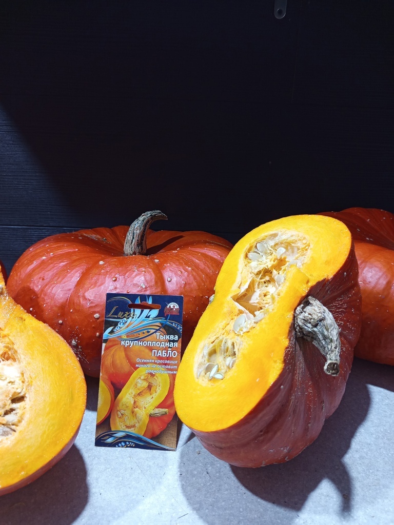  Тыква Пабло как будто сошла с картинки