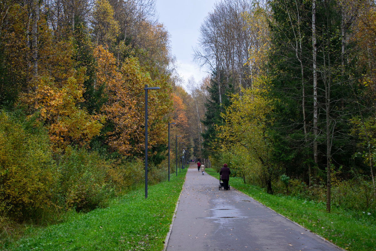 Фотография автора статьи.