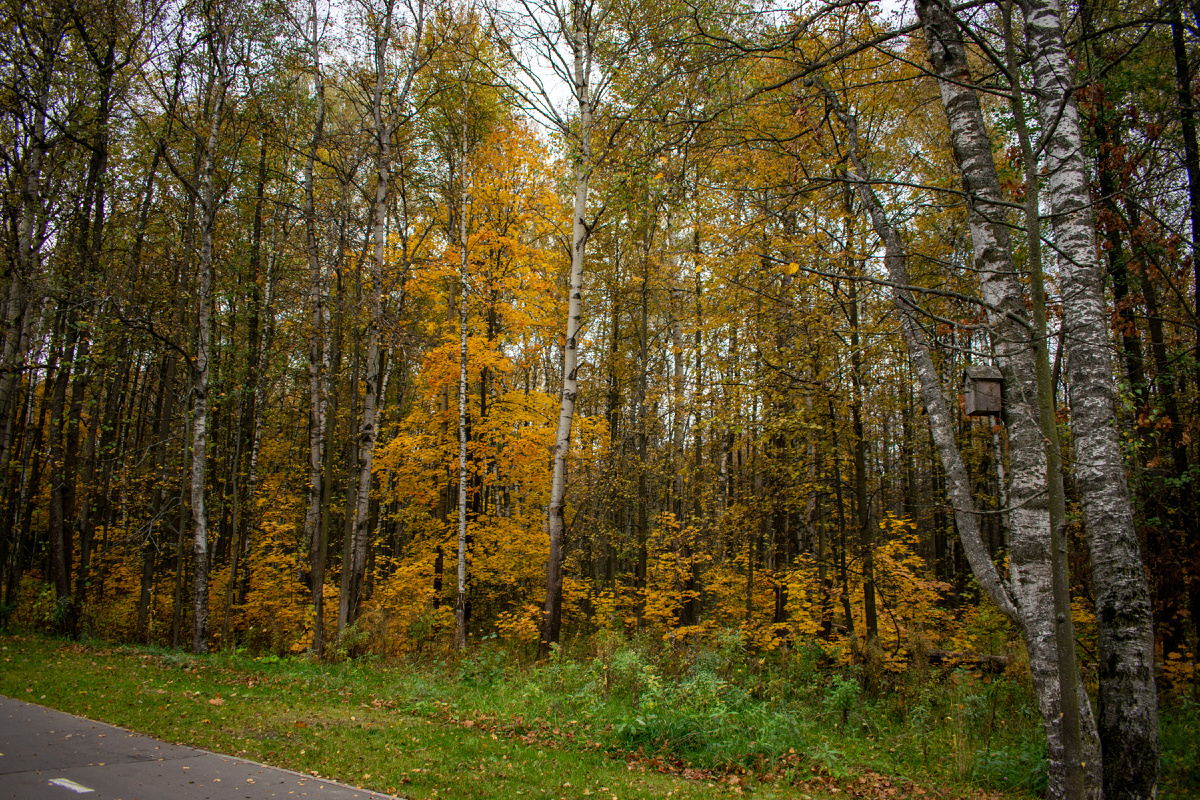 Фотография автора статьи.