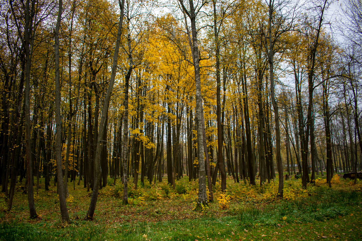 Фотография автора статьи.