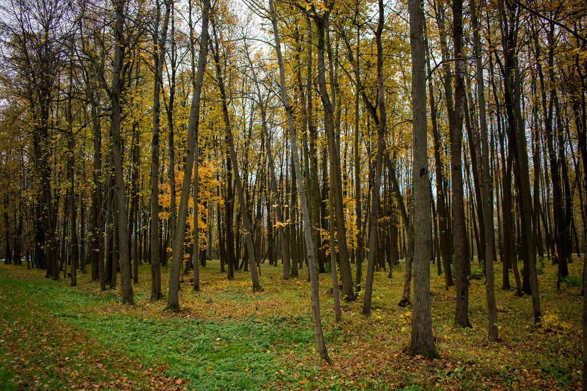 Фотография автора статьи.