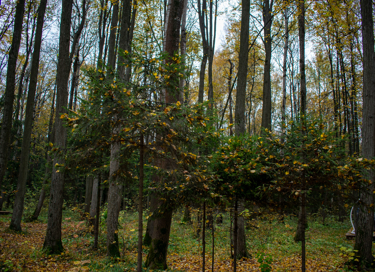 Фотография автора статьи.
