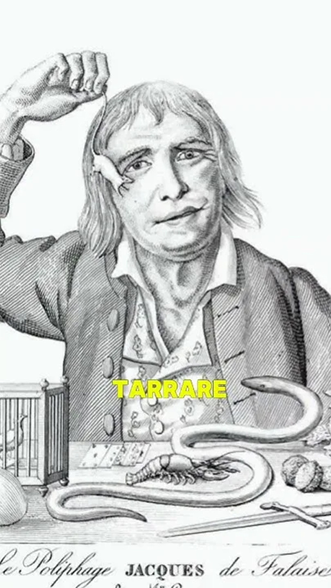Тарраре француз Обжора портрет