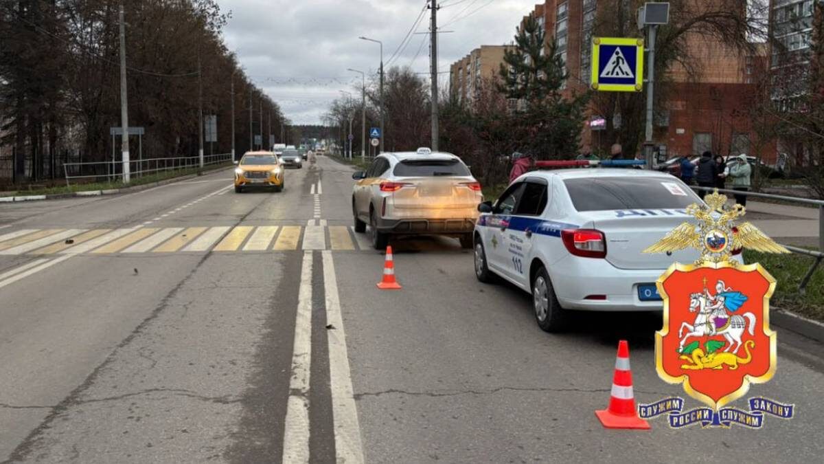    Фото: Пресс-служба ГУ МВД России по Московской области / Telegram