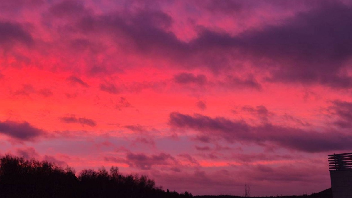    Фото: Вечерняя Москва