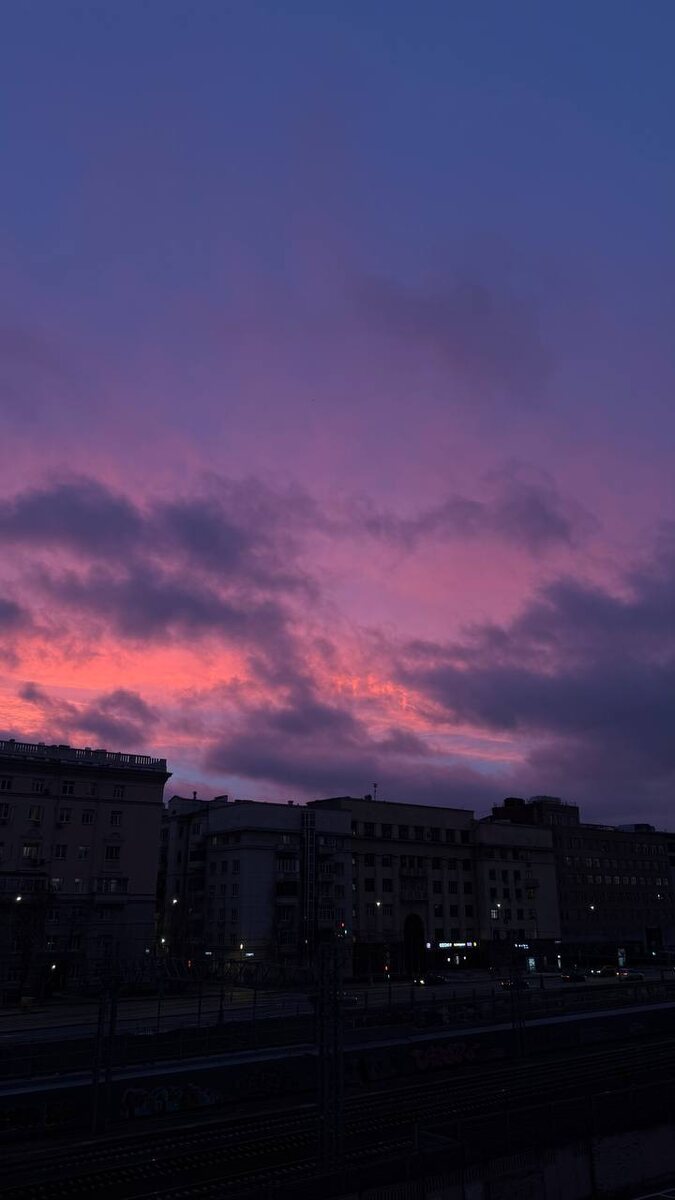  Фото: Вечерняя Москва