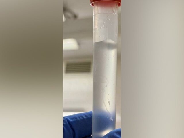    Фото: телеграм-канал "Минздрав Омской области"