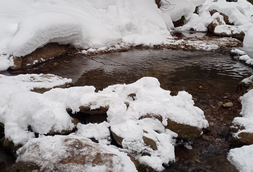    Фото: пресс-служба УрГПУ