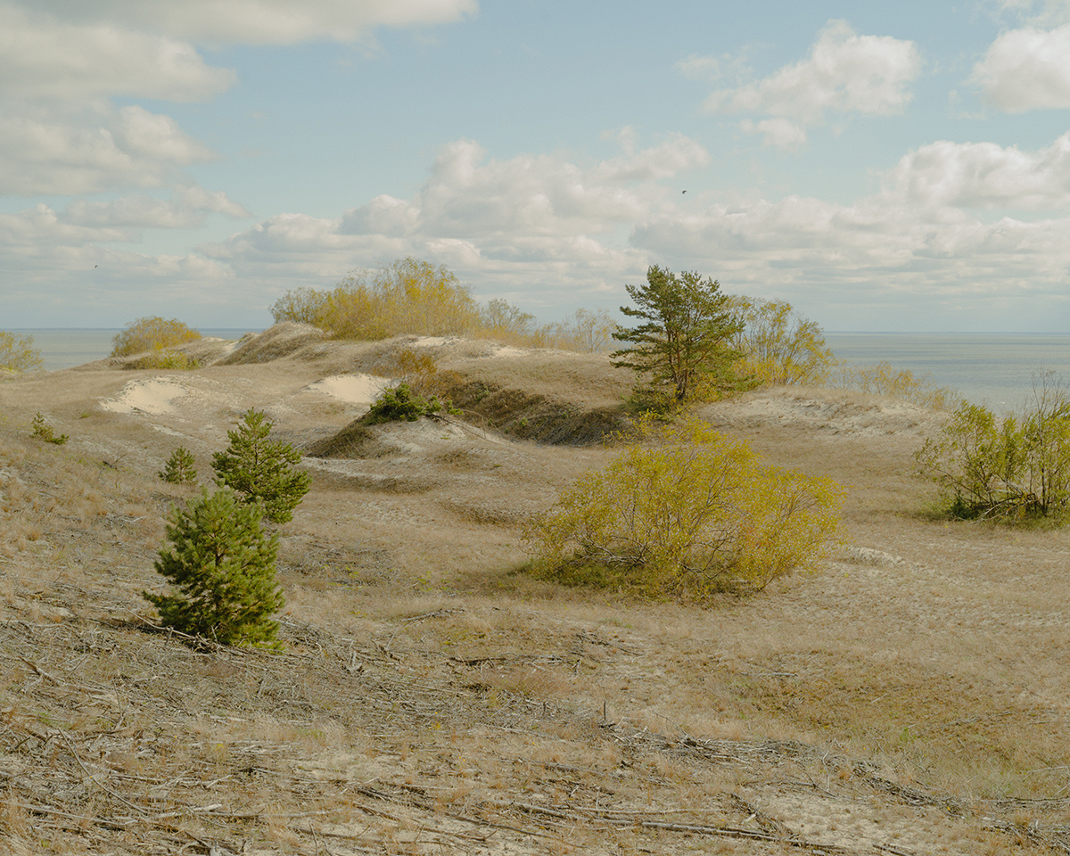 Вид на Куршскую косу с дюны «Высота Эфа»
Фото: Роман Соколов для ТД