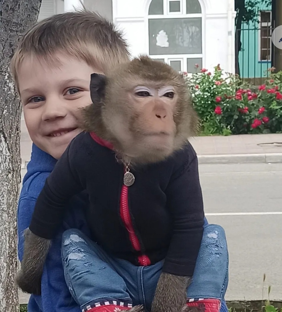 Фото из личного архива. МОЙ ВНУК ДАНИИЛ И ОБЕЗЬЯНКА.