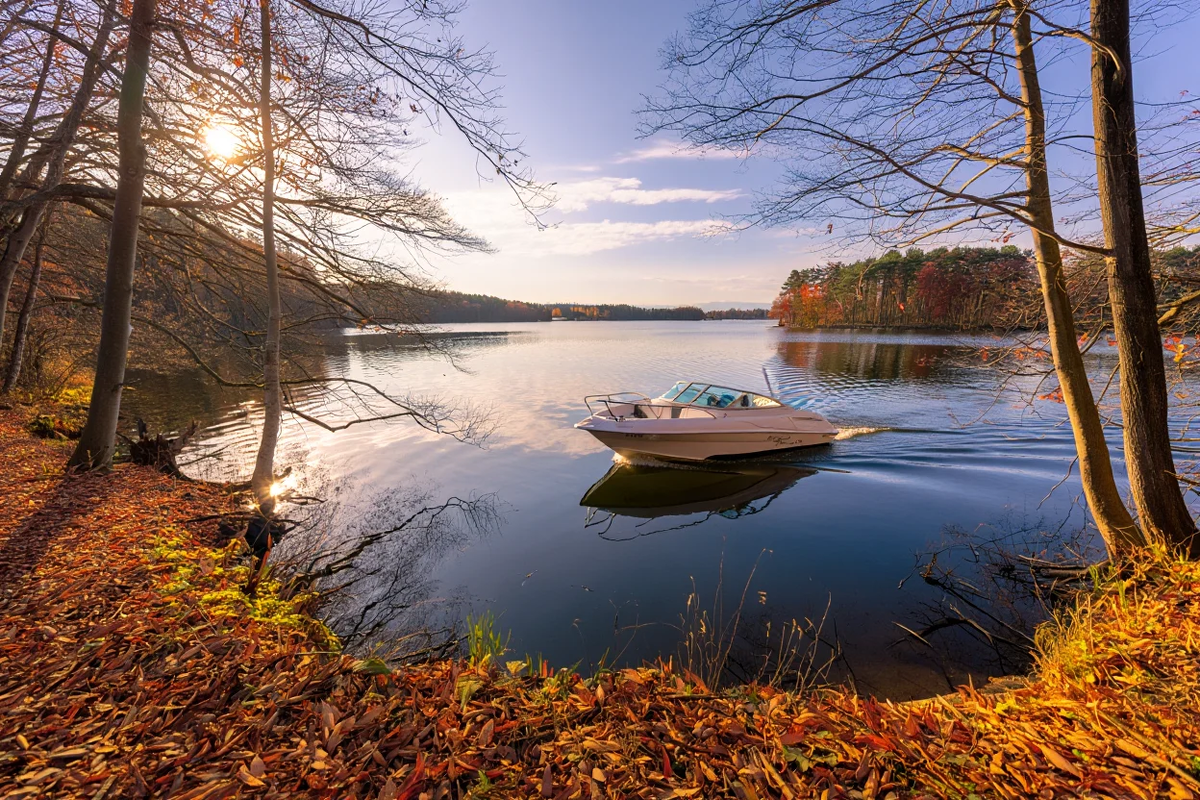 Новые дивиденды, отчеты, размещения облигаций, данные по инфляции, IPO ДОМ. РФ и другие новости в обзоре главных событий недели