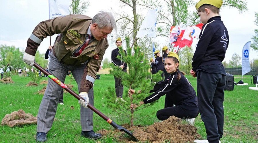 Одно посаженное дерево - уже огромный вклад в экологию мегаполиса, дабы оно будет не только радовать глаз своим видом, но и будет очищать воздух