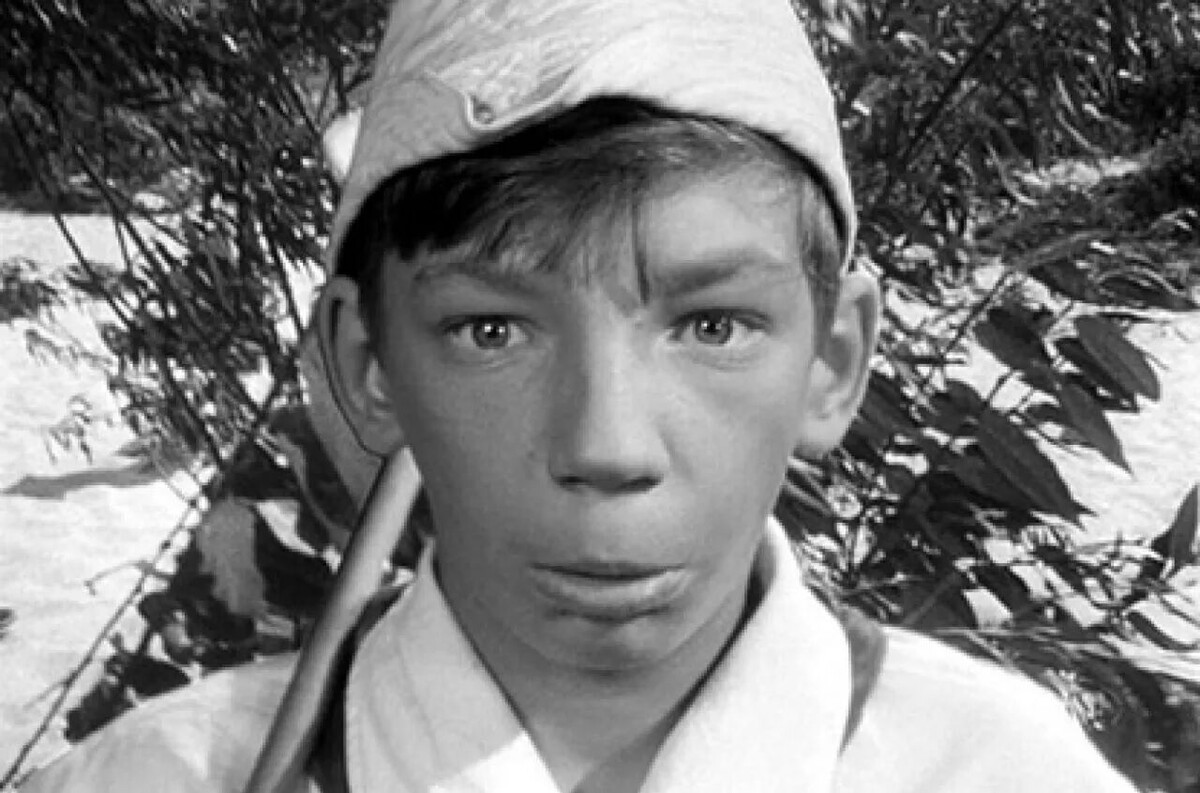    «Добро пожаловать, или Посторонним вход воспрещен» (1964)