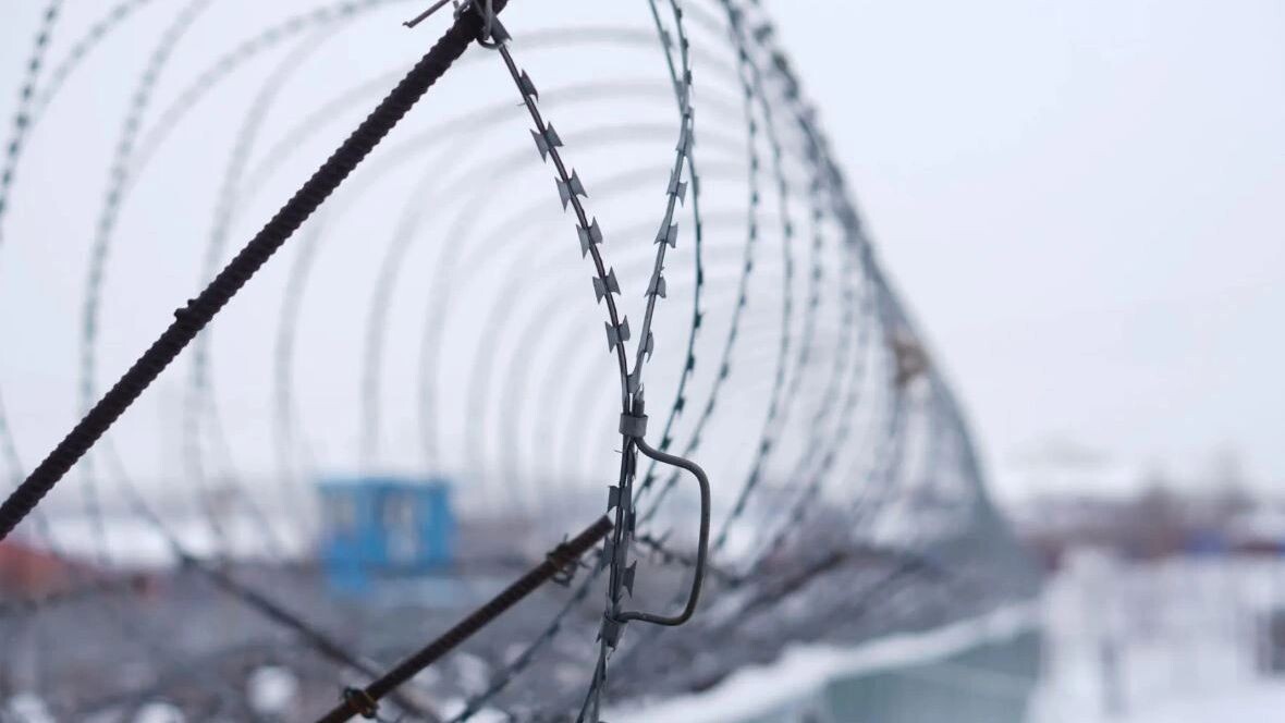    Фото: Юлия Чудинова/«Ямал-Медиа»